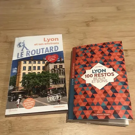 Studio Plein Centre De - Super Vue Fourviere 公寓