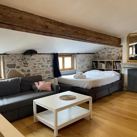 Studio Plein Centre De - Super Vue Fourviere