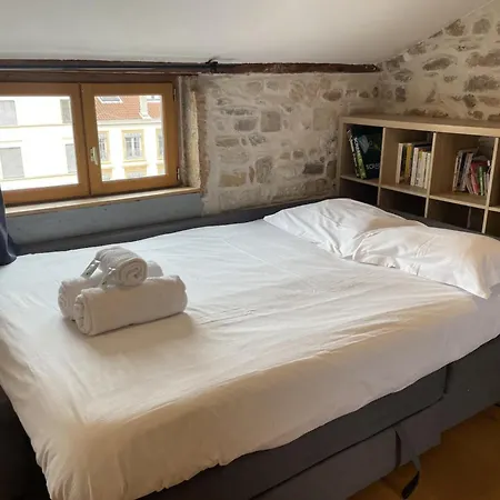Apartmán Studio Plein Centre De - Super Vue Fourviere Lyon